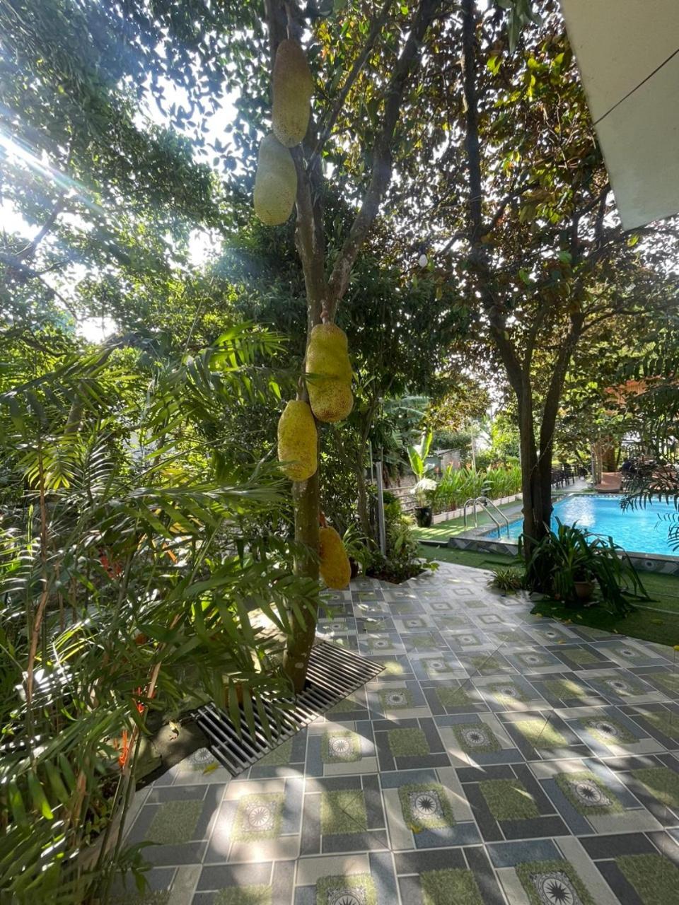 tam cốc relax homestay Ninh Binh Exterior foto