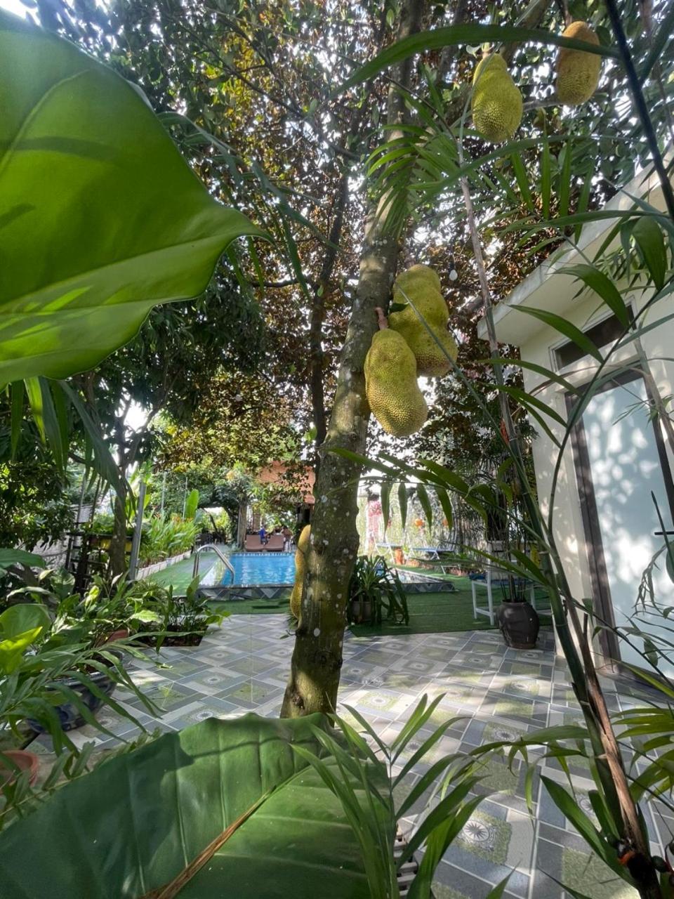 tam cốc relax homestay Ninh Binh Exterior foto